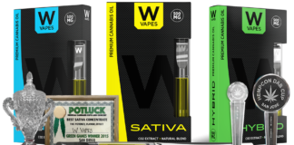 W Vapes Products Featured In New Chris Brown Video w vapes