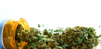 urban-gro Expands Regional Sales Teams shutterstock 139577978