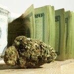 Oregon Nets $25.5 Million in Marijuana Taxes for 2016 shutterstock 171590168