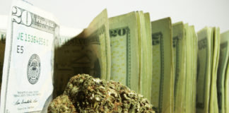 Oregon Nets $25.5 Million in Marijuana Taxes for 2016 shutterstock 171590168