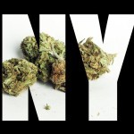 Lawmakers Consider Expanding New York Medical Marijuana shutterstock 225366763