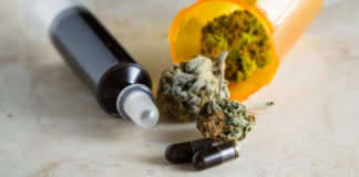 South Dakota Father Frustrated Over Slow Medical Marijuana Progress shutterstock 371731996