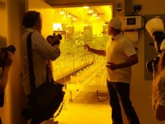 Canndescent Celebrates Historic Opening of Desert Hot Springs Cultivation Facility