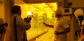 Canndescent Celebrates Historic Opening of Desert Hot Springs Cultivation Facility