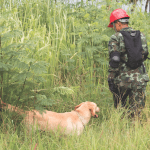 Sacramento Insider: Legislation Update on Proposition 64 Screen Shot 2016 09 06 at 2.36.10 PM