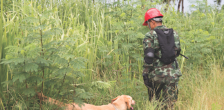 Sacramento Insider: Legislation Update on Proposition 64 Screen Shot 2016 09 06 at 2.36.10 PM