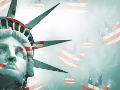 Cannabis on the Ballot: Breaking Down the 2016 Election Screen Shot 2016 09 27 at 5.15.20 PM