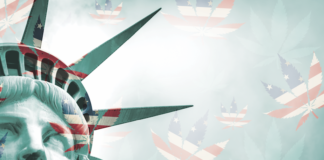 Cannabis on the Ballot: Breaking Down the 2016 Election Screen Shot 2016 09 27 at 5.15.20 PM