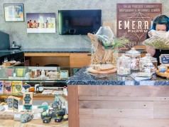 Dispensary Done Right: Emerald Pharms Is Solaring the Way emerald pharms cannabisnow 1