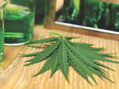 Next Gen Lab Testing for the Cannabis Industry Now