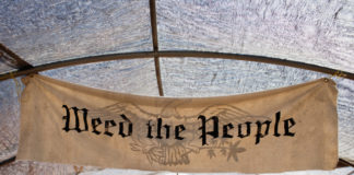 Farmer Tom Lauerman: A Profile in Pictures weedthepeople