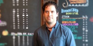 BDS Analytics Is All About the Numbers BDS analytics e1478737421965