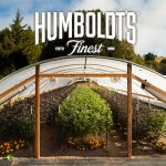 Wizards of Weedcraft: Humboldt’s Finest Aims to Stay Local, Go Global HumboldtsFinestGreenhouseLogo