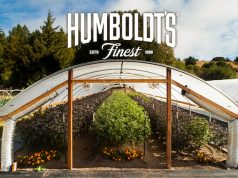 Wizards of Weedcraft: Humboldt’s Finest Aims to Stay Local, Go Global HumboldtsFinestGreenhouseLogo
