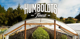 Wizards of Weedcraft: Humboldt’s Finest Aims to Stay Local, Go Global HumboldtsFinestGreenhouseLogo