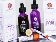 The Legend of Aunt Zelda’s aunt zeldas