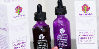 The Legend of Aunt Zelda’s aunt zeldas