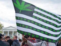 Cannabis Industry Fetes Successes, Mulls Trump Win