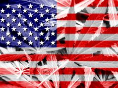 Cannabis Election Results Updated Live: California’s Prop 64 Passes, Plus 7 More States… shutterstock 256555024