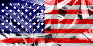 Cannabis Election Results Updated Live: California’s Prop 64 Passes, Plus 7 More States… shutterstock 256555024