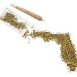 Florida Medical Marijuana Industry Expected to Be Worth $1.6 Billion by 2020 shutterstock 310161050
