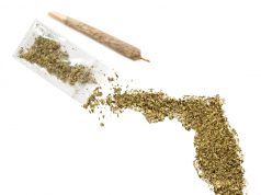 Florida Medical Marijuana Industry Expected to Be Worth $1.6 Billion by 2020 shutterstock 310161050
