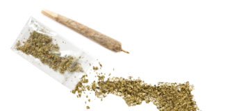 Florida Medical Marijuana Industry Expected to Be Worth $1.6 Billion by 2020 shutterstock 310161050