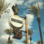 California’s New Cannabis Landscape and How Different Counties Are Navigating It Screen Shot 2016 12 30 at 9.00.27 AM