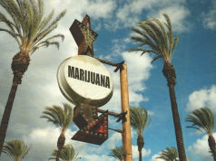 California’s New Cannabis Landscape and How Different Counties Are Navigating It Screen Shot 2016 12 30 at 9.00.27 AM