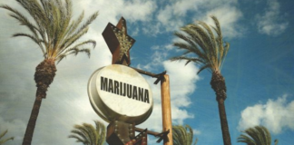 California’s New Cannabis Landscape and How Different Counties Are Navigating It Screen Shot 2016 12 30 at 9.00.27 AM