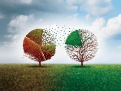 How to Borrow Money to Fund Your Marijuana Business (Part 1: Plan) lendingtree