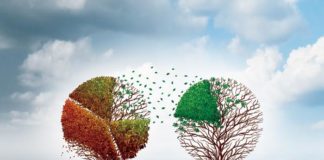 How to Borrow Money to Fund Your Marijuana Business (Part 1: Plan) lendingtree