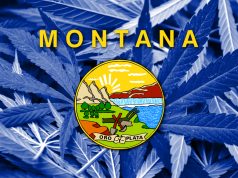 Montana Dispensaries Can Re-Open Immediately shutterstock 258544826