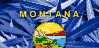 Montana Dispensaries Can Re-Open Immediately shutterstock 258544826
