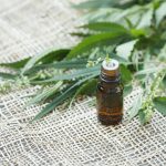 DEA Creates New Rules for Extracts and New Headaches for Marijuana Industry shutterstock 525430516