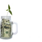 High Finance: Cannabis Biz Accelerator Canopy Offers Budding Firms Big Bucks shutterstock 541299784