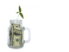 High Finance: Cannabis Biz Accelerator Canopy Offers Budding Firms Big Bucks shutterstock 541299784