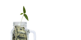 High Finance: Cannabis Biz Accelerator Canopy Offers Budding Firms Big Bucks shutterstock 541299784