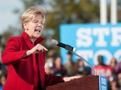 Senator Elizabeth Warren’s Cannabis Bank Shot ElizabethWarren
