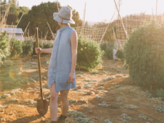 Bloom Farms Is Taking the Highlighter Road Screen Shot 2017 01 18 at 11.10.22 AM