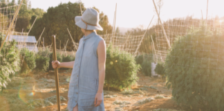 Bloom Farms Is Taking the Highlighter Road Screen Shot 2017 01 18 at 11.10.22 AM