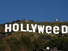 Exclusive Interview With Hollyweed Sign Makeover Artist Zach Fernandez!