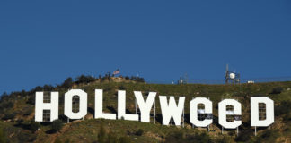 Exclusive Interview With Hollyweed Sign Makeover Artist Zach Fernandez!