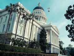 Why California’s Green Rush Is a Patchwork, Down-Home Affair shutterstock 291486200