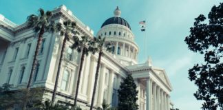 Why California’s Green Rush Is a Patchwork, Down-Home Affair shutterstock 291486200