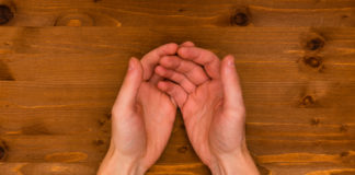 Joint Giveaway: One Handout That’s Not Decreasing Under Trump shutterstock 489291142