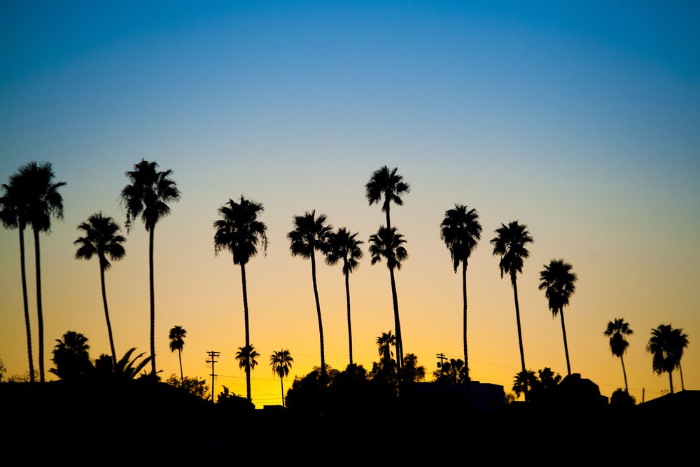 sunset in southern california with palm trees