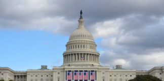 What Will President Trump Mean for the Legalization Movement? shutterstock 559793575 1