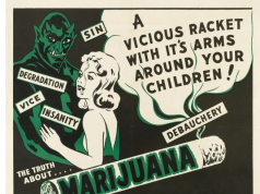 DEA Website Takes Down Misleading Information on Marijuana Screen Shot 2017 02 17 at 1.14.54 AM