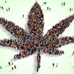 Tone Deaf? “Tough Enforcement” Statement Comes as Public Support for Marijuana Rises Screen Shot 2017 02 24 at 1.03.45 PM